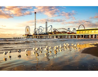 Galveston Texas Photo Print, Galveston Island Seagulls on the Shore, Galveston Photography Wall Art, Texas Gulf Coast Home Decor