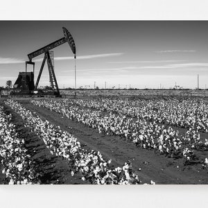 B&W Texas Canvas | Pump Jack Cotton Field | Black and White Wall Art | Texas Pumpjack Decor - Oil and Gas Art - Texas Cotton Field