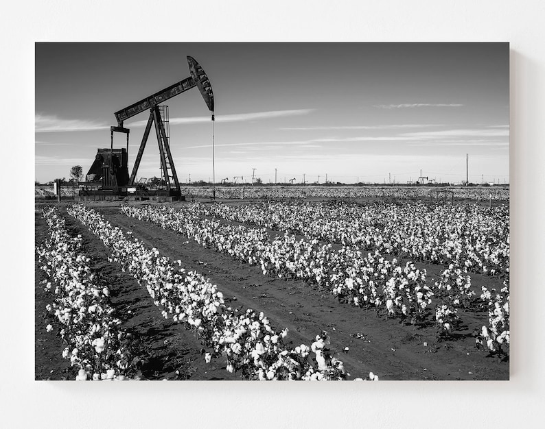 B&W Texas Canvas  Pump Jack Cotton Field  Black and White image 1