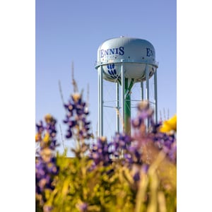 Ennis Print, Bluebonnet Water Tower, Texas Bluebonnets Photography, Ennis Texas Water Tower Photo, Ennis Bluebonnets Vertical Wall Art