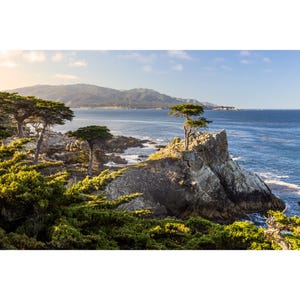 Lone Cypress Print, Pebble Beach Lone Cypress Tree, Monterey Cypress Tree Photography, Travel Photography, California Coast Photo Print