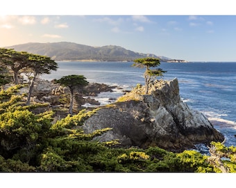 Lone Cypress Print, Pebble Beach Lone Cypress Tree, Monterey Cypress Tree Photography, Travel Photography, California Coast Photo Print