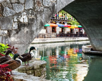 San Antonio Photo | "Along The Riverwalk" | San Antonio River Walk Photo - Artistic San Antonio Print - San Antonio Picture - Urban Wildlife