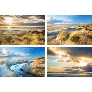 May include: Four-panel artwork featuring beach scenes. Each panel showcases a different view of a sandy beach with golden grasses, the ocean, and a dramatic sky with clouds. The sunlight creates a warm, inviting atmosphere.