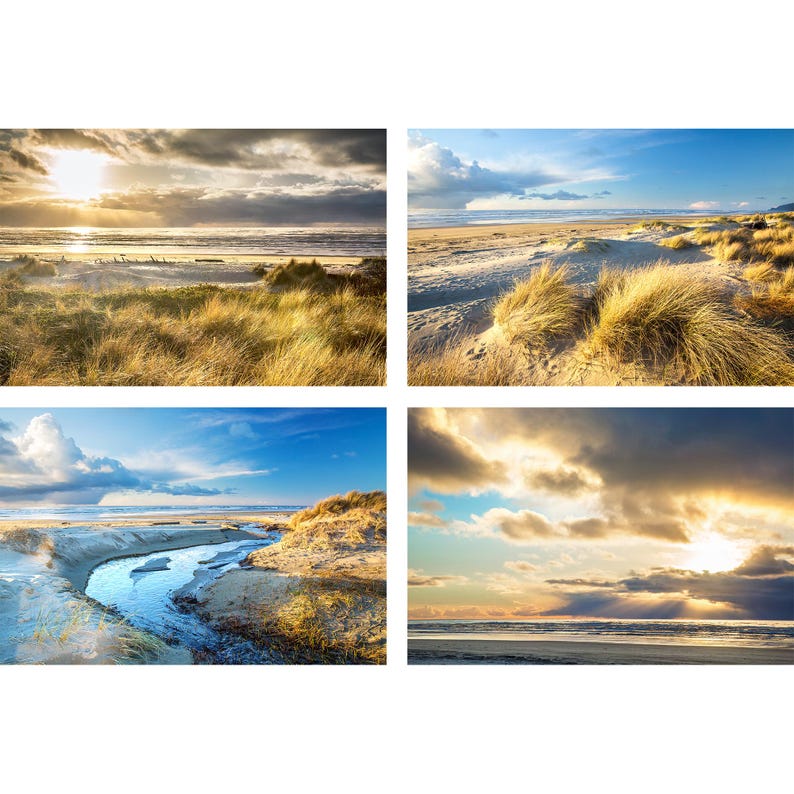 May include: Four-panel artwork featuring beach scenes. Each panel showcases a different view of a sandy beach with golden grasses, the ocean, and a dramatic sky with clouds. The sunlight creates a warm, inviting atmosphere.