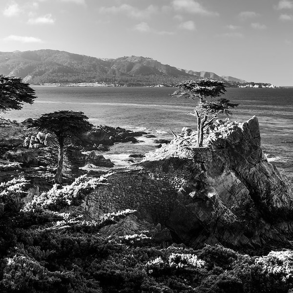 B&W Lone Cypress Print, Black and White Pebble Beach Lone Cypress Tree Photography, Travel Photography, Monterey California Photo Print