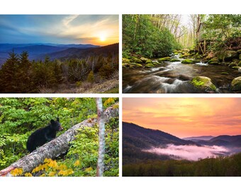 Great Smoky Mountains Photo Set, Great Smoky Mountains National Park, Kuwohi North Carolina Photography, Tennessee Photography