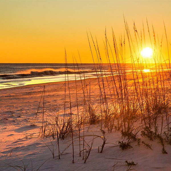 Pensacola Beach Photo | Gulf Islands National Seashore Dune Grass Sunset Print | Pensacola Beach Photography, Gulf Coast Wall Decor