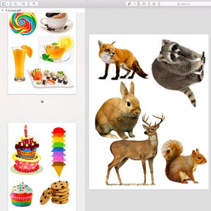 Every ESL Prop You Need (200+ props!)- Great for Online Teachers and Learners!