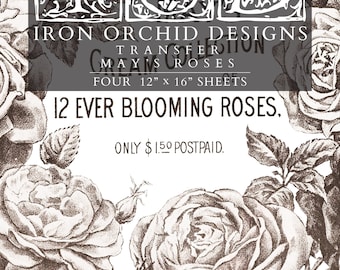 Iron Orchid Designs May&#39;s Roses Transfer