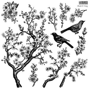 May include: Black and white illustration featuring floral branches, blossoms, and two birds. The design includes various tree branches with detailed flowers and leaves, along with two detailed bird illustrations. The words "Shade & Song" are in the upper right corner.