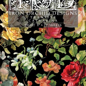 Iron Orchid Designs Catharina Transfer