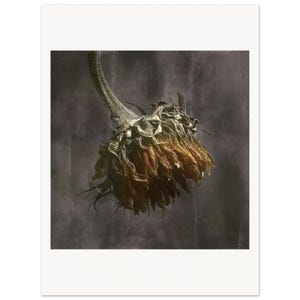 Fotografia botanica scura – Arte murale floreale vintage – Stampa di natura morta – Poster su carta opaca di qualità museale (Imperial)