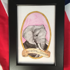 Elephantrew Johnson / Animal Pun Illustration / Watercolor & Ink / PreZOOdents / Andrew Johnson