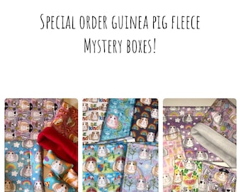 Guinea Pig Fleece Mystery Boxes - Cage Liner - Fleece Liner - Guinea Pig - Heathers Piggy Fleece - Cuddle Sack - Guinea Pig Bed