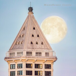 May include: A tall, white building with a pointed roof and many windows. The building is topped with a small, dark dome. A large, bright moon is visible in the sky behind the building. The text "Moonflower Castle" is visible in the upper right corner of the image.