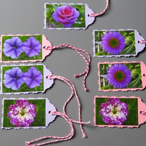 Floral Gift Tags, Flower Photo Gift Tags, Pink Purple flower assorted hang tags, All Occasion Gift Tags, Everyday Gift Tags,  Set of 7