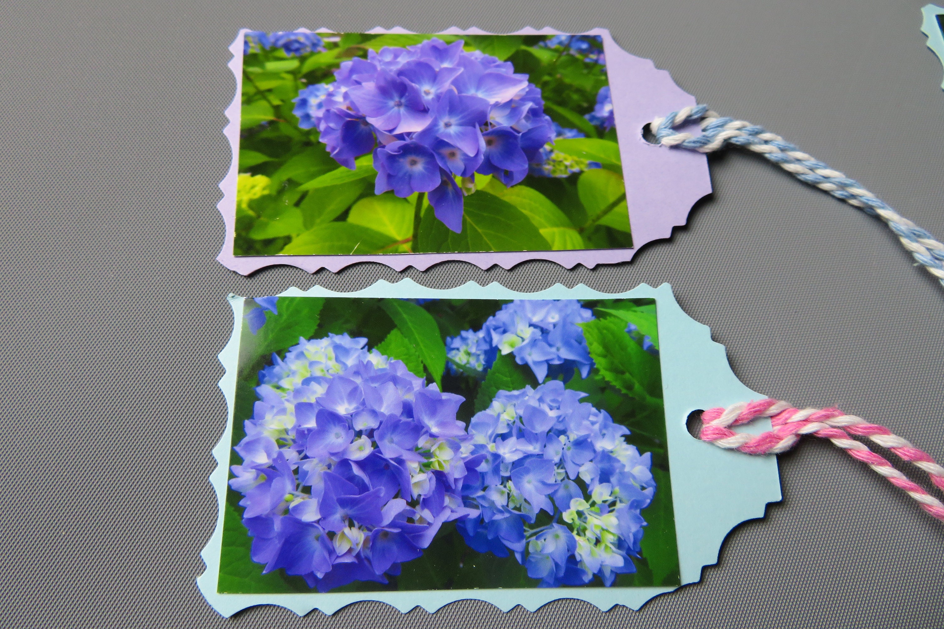 Hydrangea Gift Tags Flower Photo Gift Tags Floral Hang Tags - Etsy