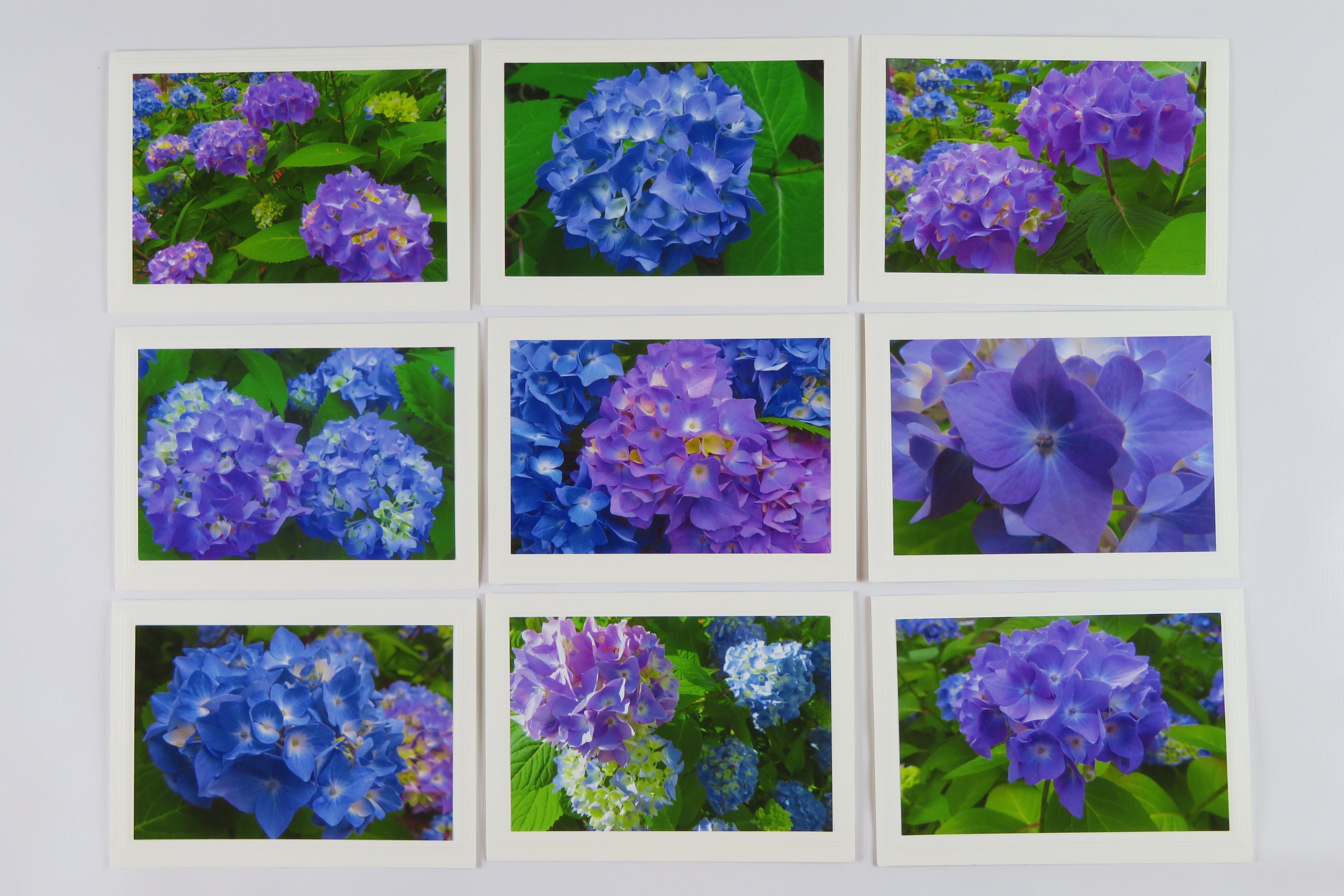 Set of 9 Assorted Hydrangea Photo Greeting Cards, Blank 5X7 Cards, All ...