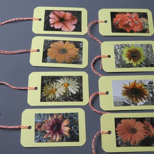 Flower Gift Tags, Photo Gift Tags, yellow orange flower assorted hang tags, All Occasion Gift Tags, Everyday Gift Tags,  Set of 8