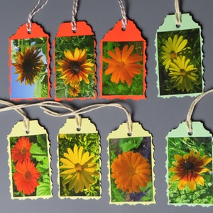Flowers Gift Tags, Floral Photo Gift Tags, orange yellow flower assorted hang tags, All Occasion Gift Tags, Everyday Gift Tags,  Set of 8