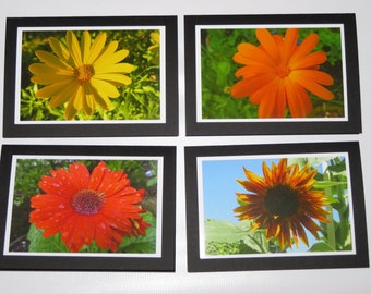 Flower Photo Greeting Cards, Black note cards, Flower Cards, Floral Photography, Set of 4 Cards, Original Gift