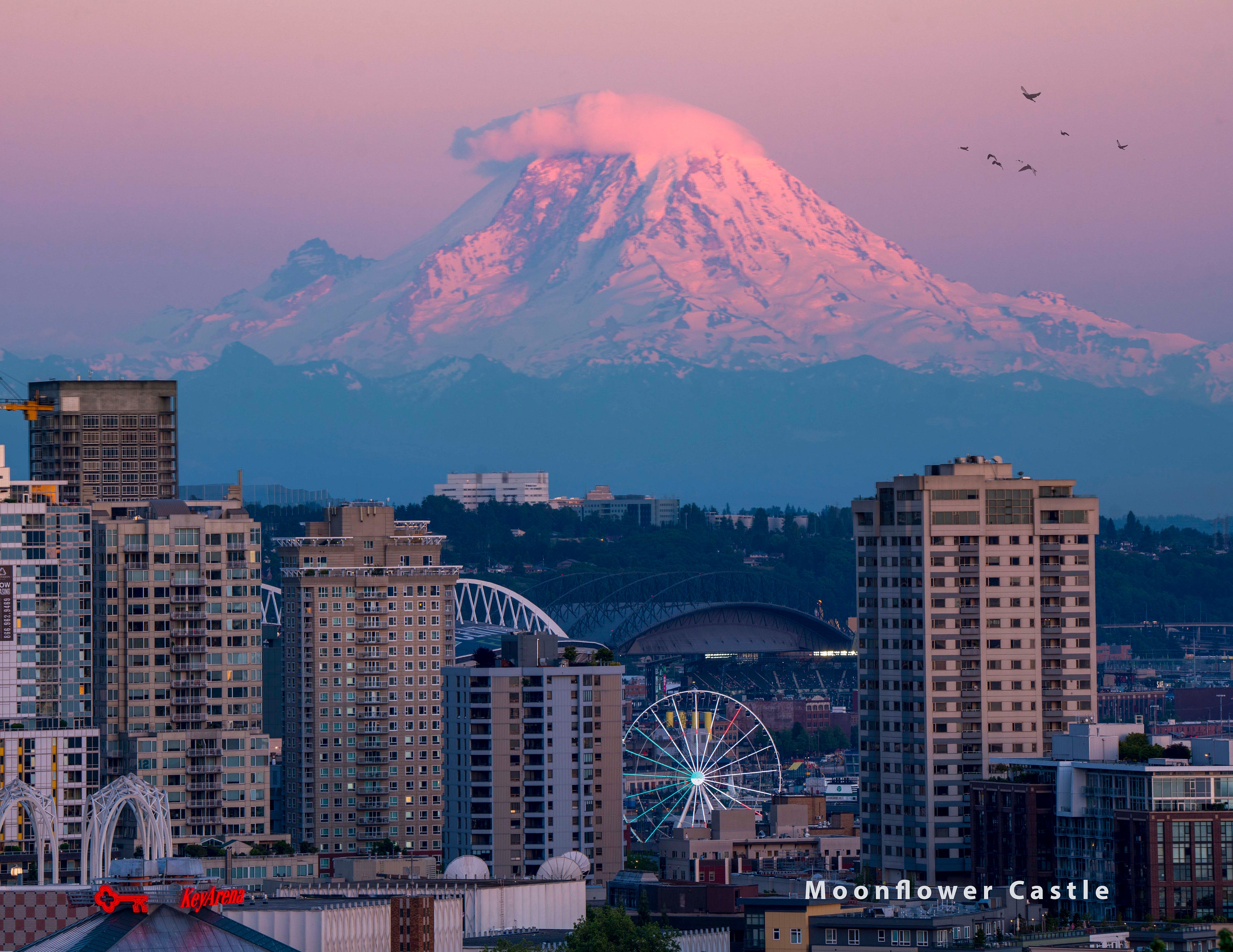 Mount Rainier Behind Seattle Print Photograph, Landmark Photo, Washington Wall Art Print, City