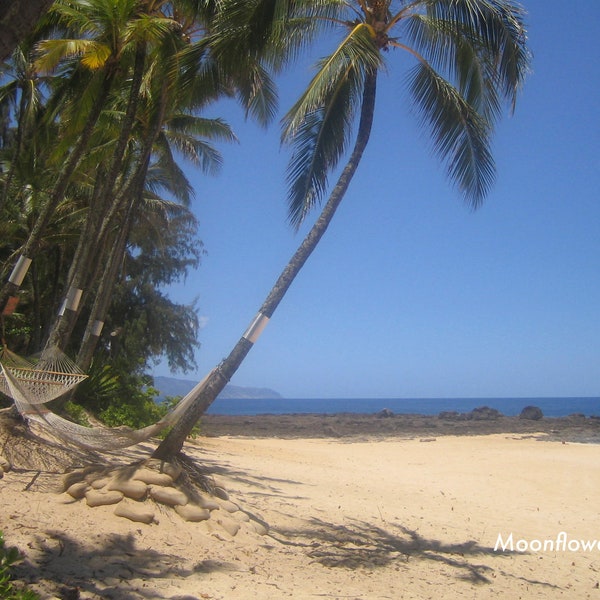 Hawaii Hammock Art print, Nature Photograph, Beach Print, Hawaii Photography, Fine Art Decor, Wall Art Print, Beach Photography, Photo Art