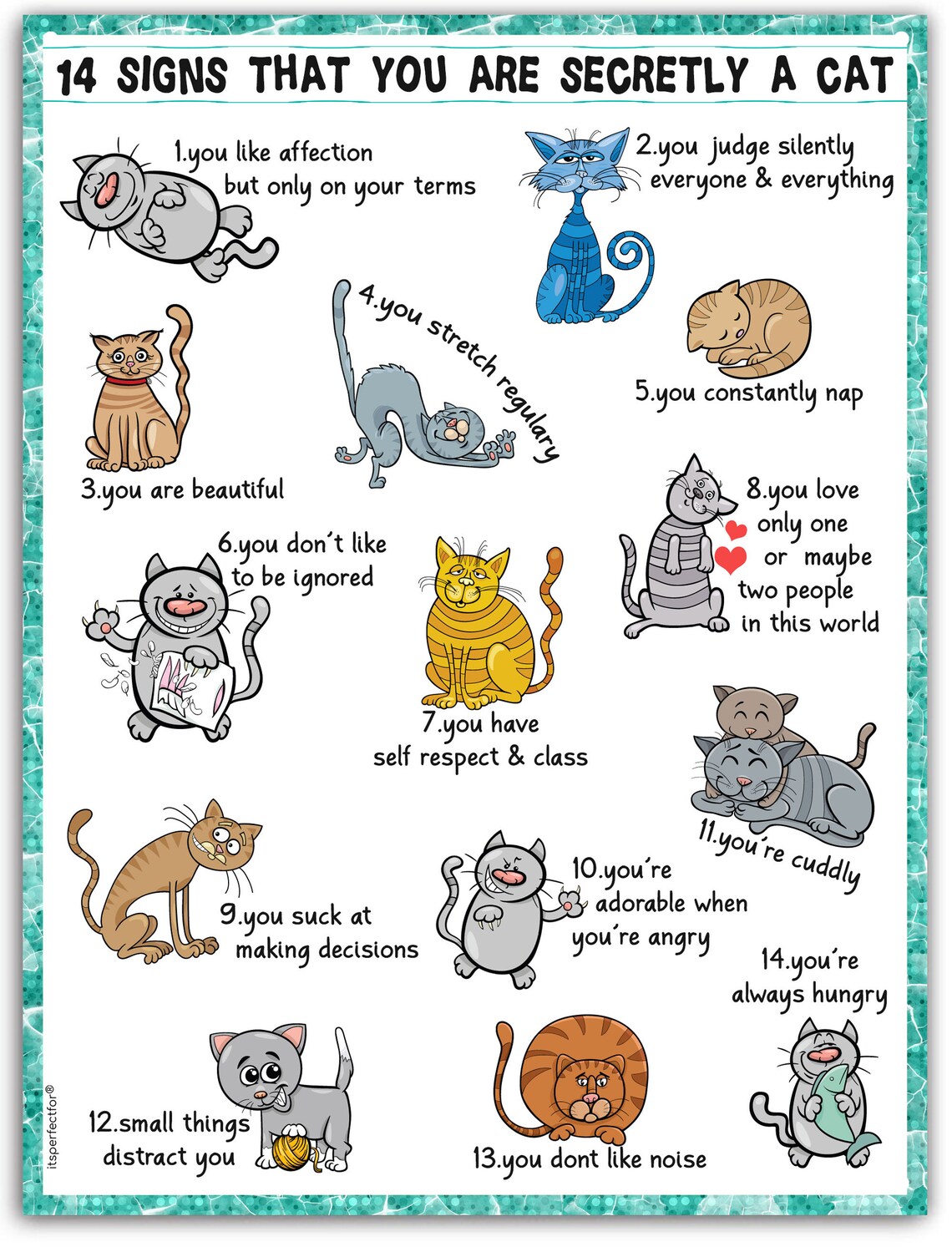 Funny Cat Sign. 14 Signs That You Are Secretly a Cat. Crazy Etsy UK
