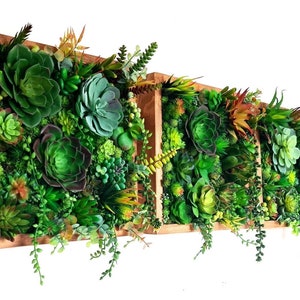 Realistic Moss Faux Artificial Succulents Living Wall Art Panel Home Modern  Decor Wood Framed Plant House Warming Office Salon Business Bar 