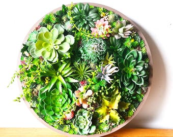 Round Faux Succulent 3D Wall Art: Modern Framed Realistic Plant Decor
