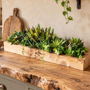 May include: A long, rectangular wooden planter box filled with a variety of green artificial succulents. The planter is positioned on a rustic wooden countertop, accompanied by a bowl of lemons, a wooden cutting board, and a potted plant.
