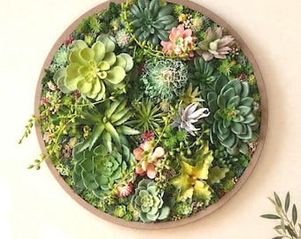Round Faux Succulent 3D Wall Art: Modern Framed Realistic Plant Decor