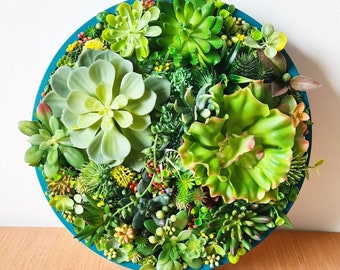 In Stock - Unique Circle Faux Succulent Wall Art Home Decor in an Beautiful Round Teal Frame for Business, Office or Home Plant Gift