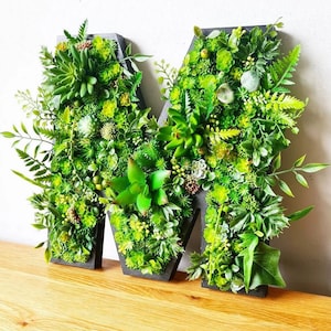 Letras de parede 3D de tamanho personalizado, arte de parede de musgo florestal, suculentas artificiais para decoração de casa, escritório, berçário, loja, quarto, logotipo, placa de bar, planta