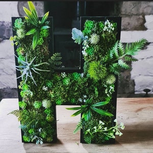Grande lettera da muro con succulente finte a forma di foresta di muschio da 12"/30 cm, per casa, ufficio, vivaio, negozio, attività commerciale, bar, decorazione verde 3D, cartello artistico per piante del bosco