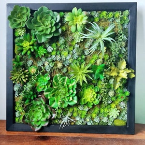 Faux Succulent 3D Wall Art: Rustic Wood Framed Botanical Decor for Home or Business