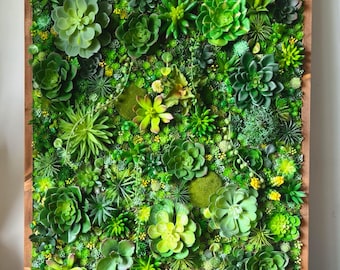 Arte mural con musgo suculento artificial: Decoración vegetal moderna