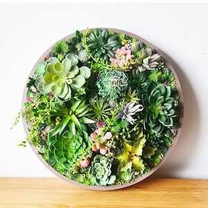 Circle 3D Round Realistic Moss Faux Artificial Succulents Living Wall Art Home Modern Decor Wood Framed Plant House Warming Office Business