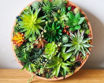 Round Faux Succulent 3D Wall Art: Modern Framed Realistic Plant Decor Home or Business