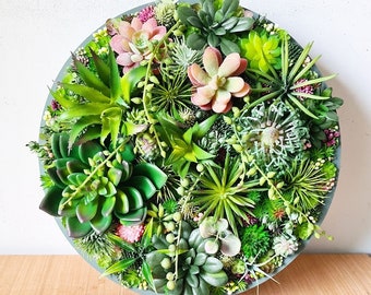 Round Faux Succulent 3D Wall Art: Modern Framed Realistic Plant Decor Home or Business