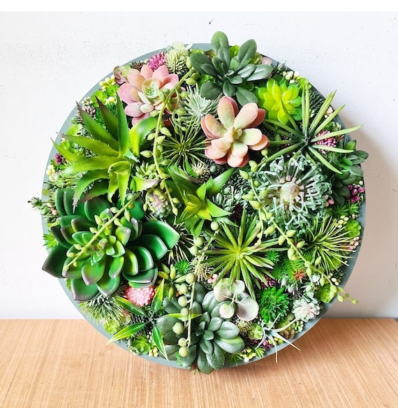 Round Faux Succulent 3D Wall Art: Modern Framed Realistic Plant Decor Home  or Business - Etsy
