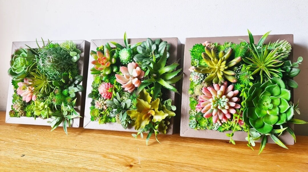 Faux Succulent 3D Wall Art Trio: Rustic Wood Framed Plant Decor Home or ...