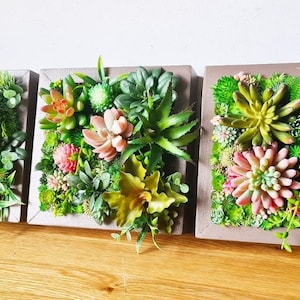 Trio/Triptychon - 8"/20 cm Einzigartige Faux Sukkulenten Modernes Wohnen Wand Moos Kunst Handgemacht Holz Pflanze Moos Zuhause Büro Salon Geschäft Bar