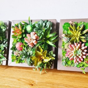 Moss Succulent Wall Tiles, Office Moss Wall Art, Faux Succulent