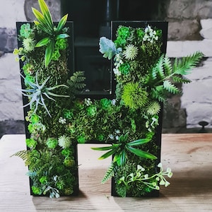 In piedi 8"/20 cm 3D muschio finto succulente foresta lettera arredamento casa attività vivaio bar ufficio pianta regalo matrimonio segno arte fiore bosco