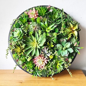 Circle 3D Round Realistic Moss Faux Artificial Succulents Living Wall Art Home Modern Decor Wood Framed Plant House Warming Office Business