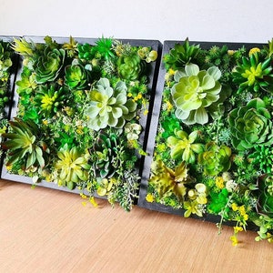 Ex Große 15 "/38 cm Trio / Triptychon Einzigartige Faux Sukkulenten Modernes Wohnen Wand Moos Kunst Handgemacht Holz Pflanze Moos Zuhause Büro Salon Geschäft Bar
