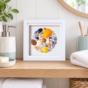 Seashell Wall Art. Framed Home Decor Ocean Coastal Beach theme