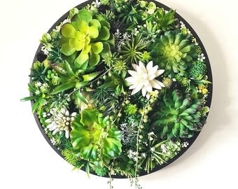 Arte de pared redondo con suculentas artificiales 3D: suculentas artificiales de musgo realistas para el hogar o el negocio